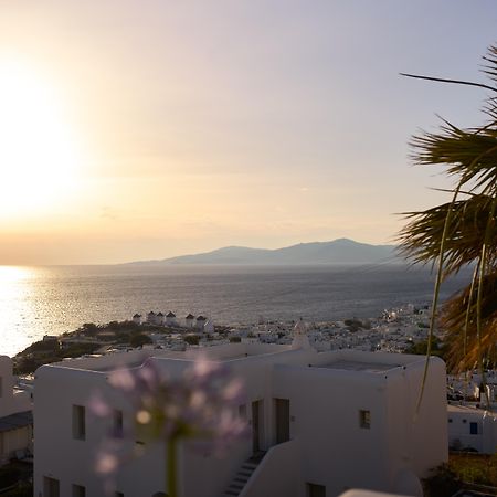 Anandes Hotel (Adults Only) Mykonos Town Экстерьер фото